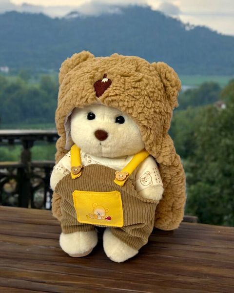 Костюм для плюшевого ведмедика HuggyBear - Шапка-Гризлі та футболка зі штанцями 0041 фото