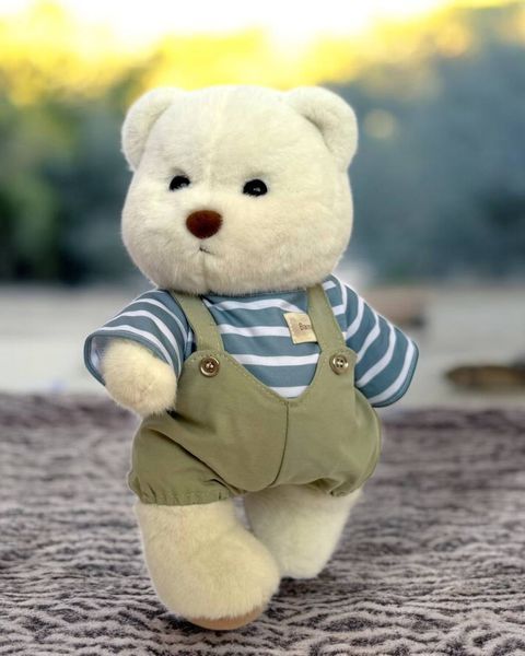 Набір для плюшевого ведмедика HuggyBear футболка та штанці 0034 фото