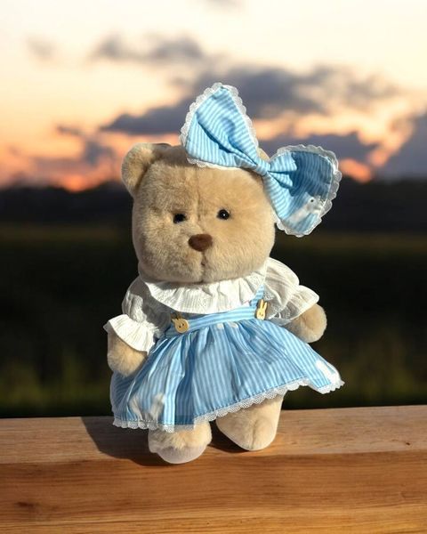 Набір одягу для іграшки HuggyBear - блакитний набір з бантиком 0044 фото